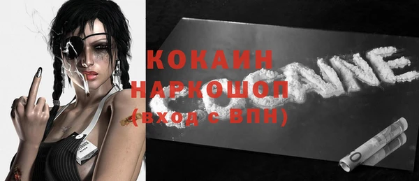 индика Абинск