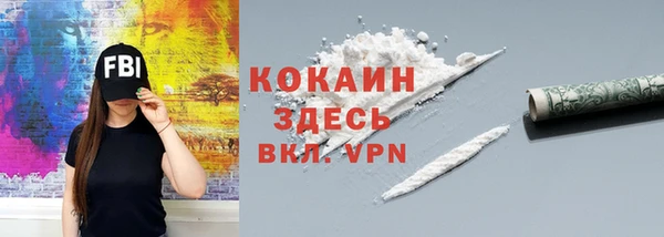 индика Абинск