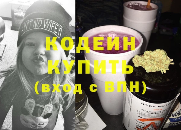 индика Абинск