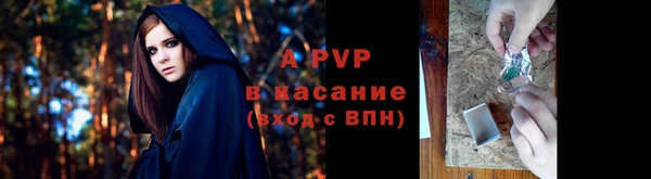 индика Абинск