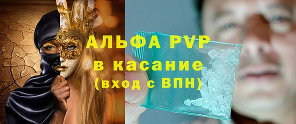 индика Абинск